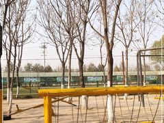-草根堂农场
