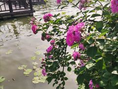 -云龙湖旅游景区