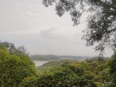 -南北湖风景区