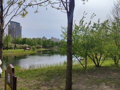 -群力丁香公园