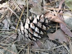 -宝岩生态观光园