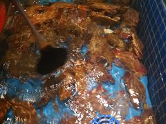 -蓝钻·国际美食海鲜自助百汇(西直门店)