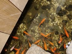 -邈墨茶馆(凤起路店)