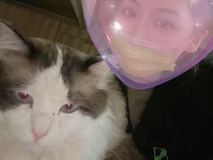 -白兔子密室(长寿路店)