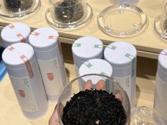 -三亚亚特兰蒂斯度假区