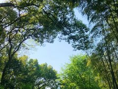 -茅家埠