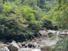 -青峰峡国家森林公园