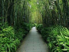 -大屏嶂森林公园