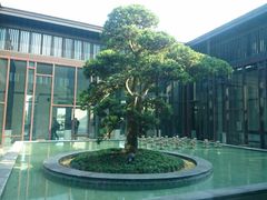 -上海崇明金茂凯悦酒店