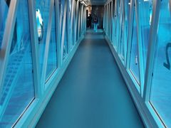 -慕尼黑国际机场