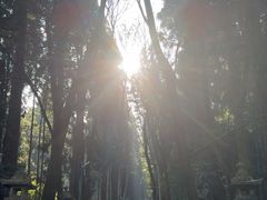-上色见熊野座神社