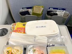 -全日本空输株式会社(上海办事处)