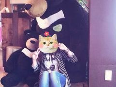 -济州岛泰迪熊博物馆