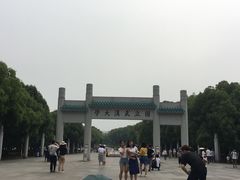 -武汉大学-樱园
