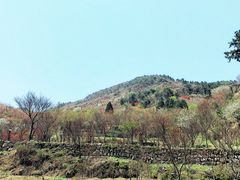 -四明山国家森林公园