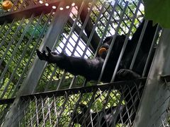 -宁波野生动物园
