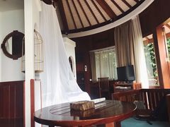 -三亚亚龙湾人间天堂鸟巢度假村