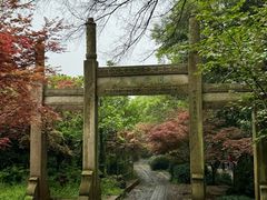 -雨花胜境