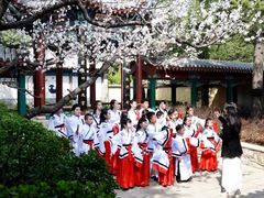 -龙口南山旅游景区