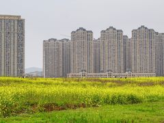 -洋湖国家湿地公园