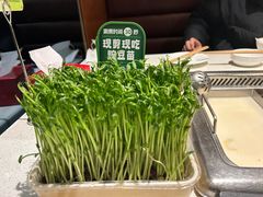 -海底捞火锅(高科广场店)