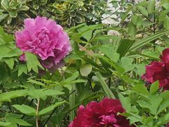 -苏州河梦清园环保主题公园