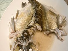 -金河半岛园林酒家(金融城店)