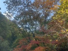 -关门山森林公园