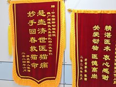 -中农国际动物医院24小时·猫科·骨科·急重症中心