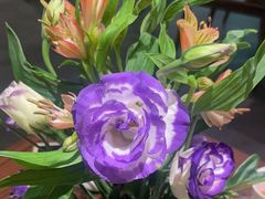 -翁暖茶馆(滨江东总店)