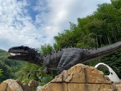 -将军关探险漂流