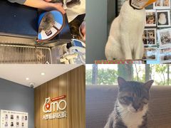 -御宝贝·A梦猫科宠物医院(国际猫友好医院)