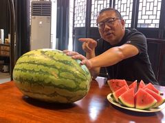 -马白开来特色羊排揪片子  (总店)