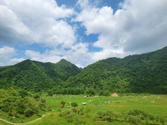 -狮子沟牧场