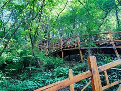 -大岭沟猕猴桃谷风景区