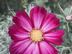 iphone_upload_pic-定都峰