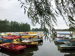 -东湖落雁景区