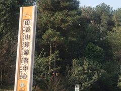 -铁山坪森林公园