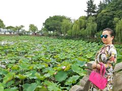 -无锡蠡湖国家湿地公园-蠡园