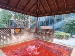 -春晖园度假酒店温泉