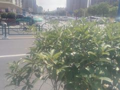 -万宝财富商业广场