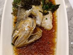 -老绍兴养和饭店(向阳不夜城店)