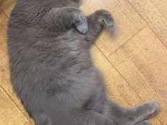 -Rabbit Cafe私房西餐甜点咖啡(栖霞路店)