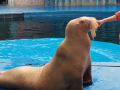 -华夏文旅海洋公园