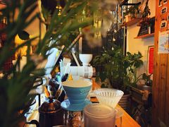 -莫宁Morning