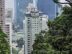 -太平山顶