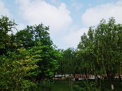-丰台科技园生态主题公园