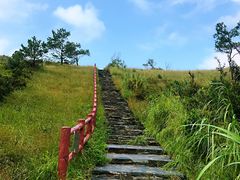 -大澳