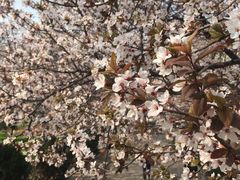 -山东师范大学(千佛山校区)