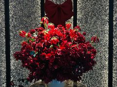 -淮香国色·淮扬菜(正大中心店)